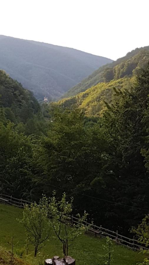 Pensiunea Valea Tonii Strungari Buitenkant foto