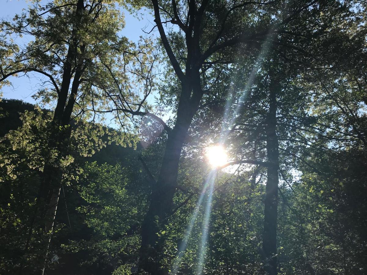 Pensiunea Valea Tonii Strungari Buitenkant foto