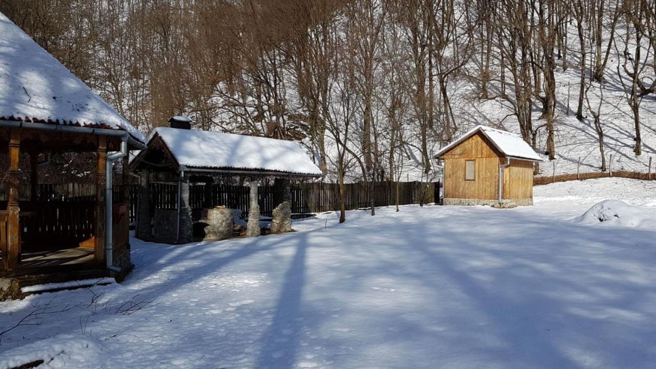 Pensiunea Valea Tonii Strungari Buitenkant foto