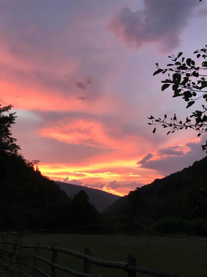 Pensiunea Valea Tonii Strungari Buitenkant foto