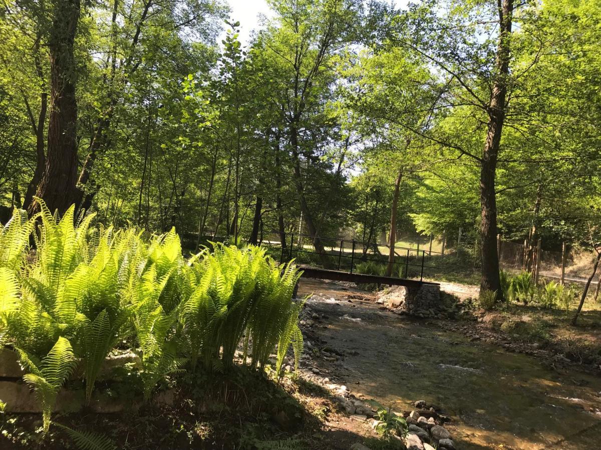 Pensiunea Valea Tonii Strungari Buitenkant foto