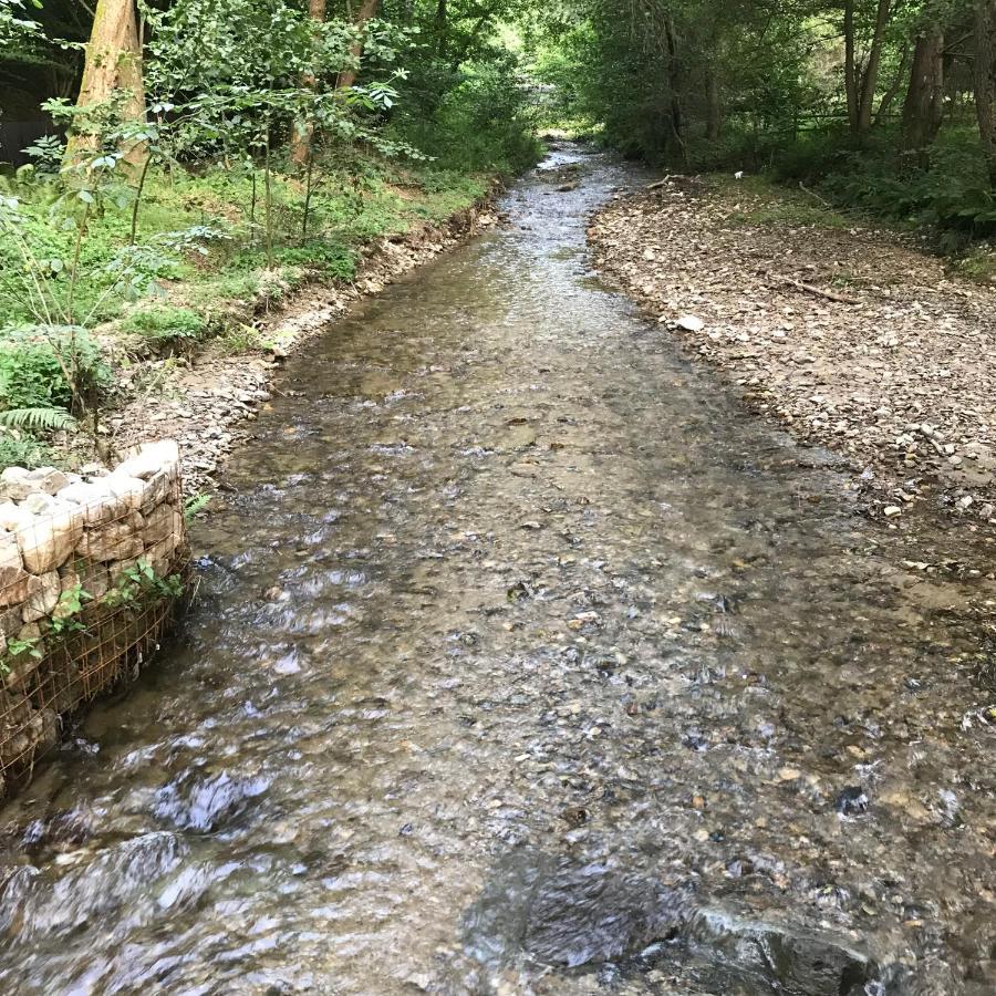 Pensiunea Valea Tonii Strungari Buitenkant foto