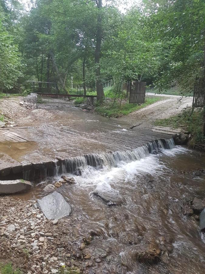 Pensiunea Valea Tonii Strungari Buitenkant foto